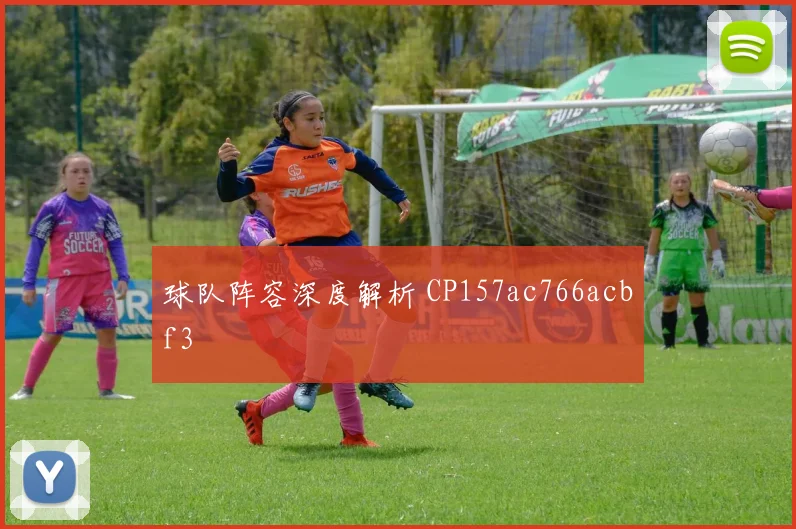 球队阵容深度解析 CP157ac766acbf3